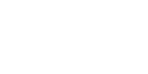 brand-wordpress.png